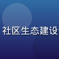 爱情岛论坛社区运营主管苏珊瑚，社区生态建设专家，擅长用户增长与活跃度提升